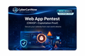 Web App Pentest (OWASP + Exploitation Proof) - Basic Website
